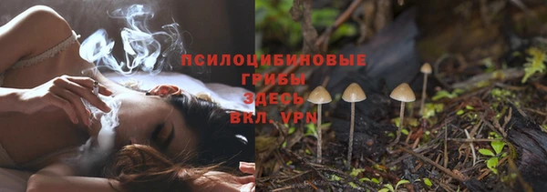 мет Карпинск