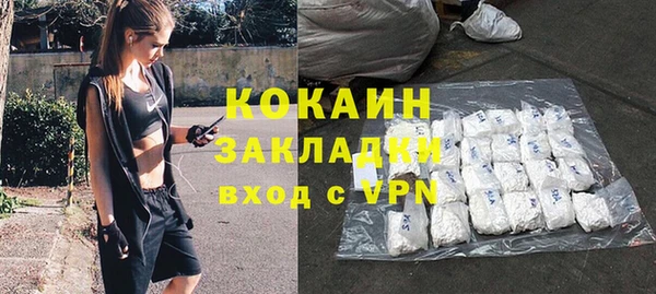 ГАЛЛЮЦИНОГЕННЫЕ ГРИБЫ Карталы