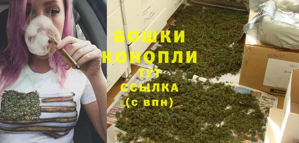 PSILOCYBIN Алагир