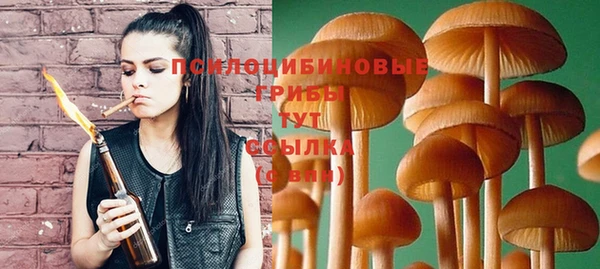 ГАЛЛЮЦИНОГЕННЫЕ ГРИБЫ Карталы