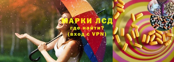 ГАЛЛЮЦИНОГЕННЫЕ ГРИБЫ Карталы