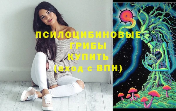 ешки Каменка